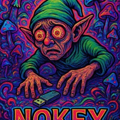Nokey Dnb