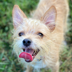 Millie Mu