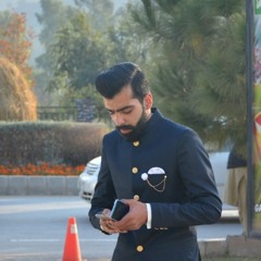 Malik Hamza Awan