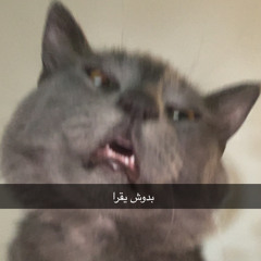 vvvvvvvvvvol