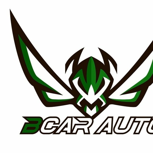 bcarlimousine’s avatar