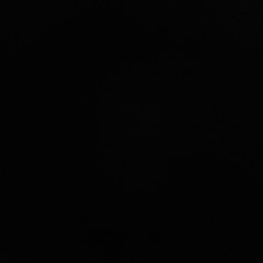 dusty102022