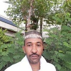 Bassam Ali