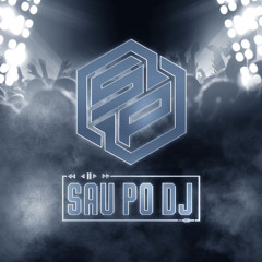 SAU PO DJ