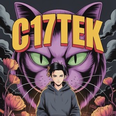 Ced _ Aka _ C17TEK