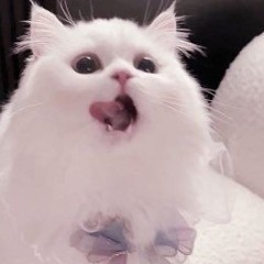 さとう