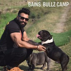 Kamal Bains