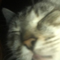 chepux