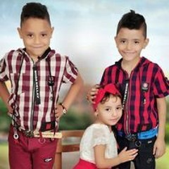 Mamt Ody W Mody
