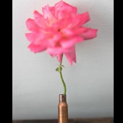 آغا مبشر شاہ جیلانی 💸