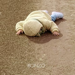 Bonzo