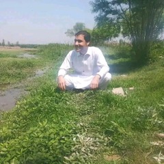 Thaseen Ullah