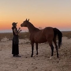 Joshua Tree Recording Company