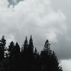 Vxbes