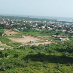 Henrry Gonzales Flores