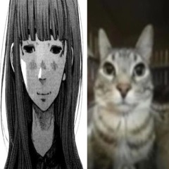 p_q