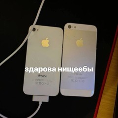 bodyanalfeev