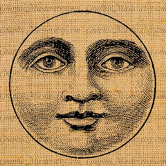 ‧͙⁺˚*･༓☾ Lovely Moonchild ☽༓･*˚⁺‧͙