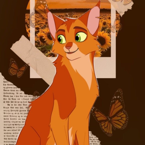 Just another warrior cat design blog — Firestar