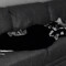 sleepy man