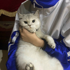Sonheungmanh