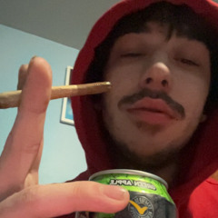 Trippy Zippy