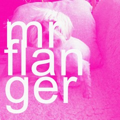 Mr Flanger