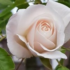 Nanny En Guido Smeets