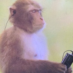 фывфыв выфвыф