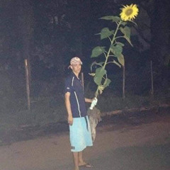 bờm