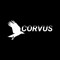 CORVUS.