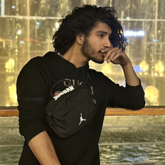 amir ebrahimi