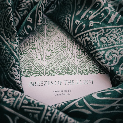 Breezes Of The Elect’s avatar