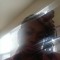 Antoinette Young