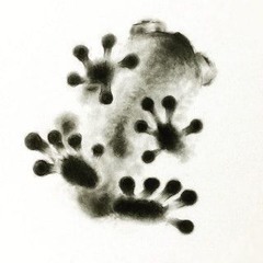 Johannes08