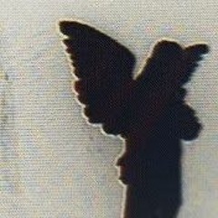 ls