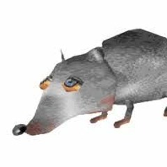 Kasi0rat