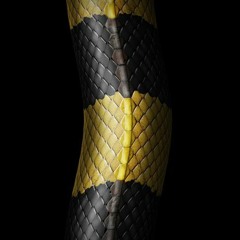 Krait