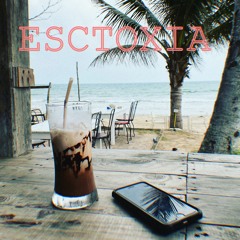 The Show - Lenka remix by ESCTOXIA 130 Bpm
