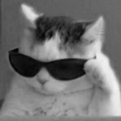 rahaf00