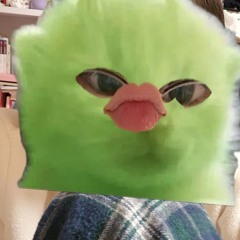 먼지