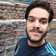 Amr Elgnayny