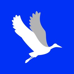 FreeBlock Podcast