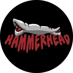 DJ Hammerhead