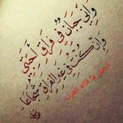 محمد أبو الفضل