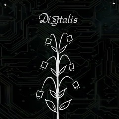 Digitalis 𖤝 Garten