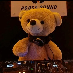 House Sound Db7bears