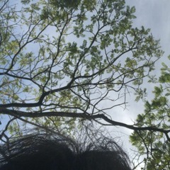 under