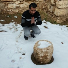 Majid Moghimi