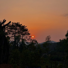 Anh Nguyet Khong